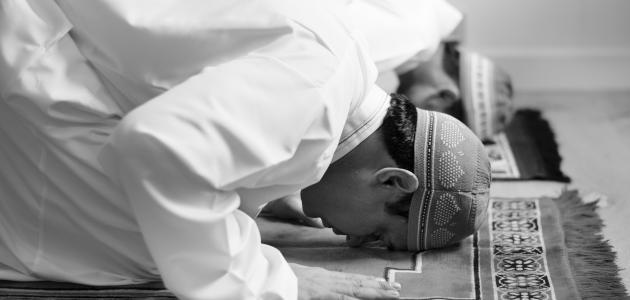 اجمل ما قيل في الفجر