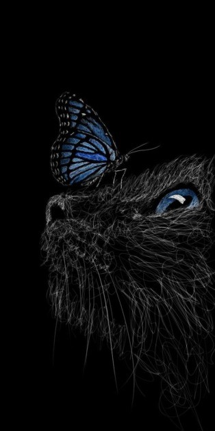 صور خلفيات سوداء فخمة