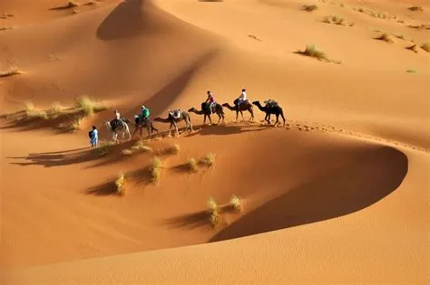 عائلة الرعوجي وش يرجعون وما أصلها