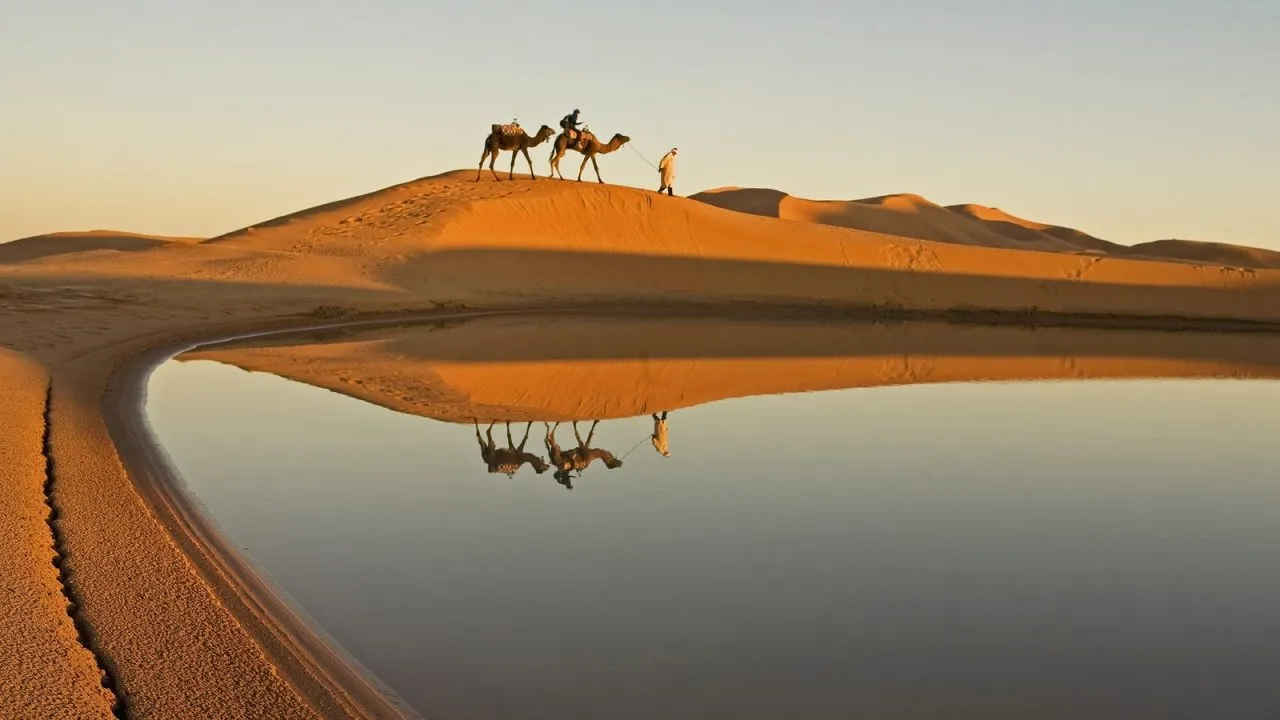 قبيلة اليوبي وش يرجعون وما أصلها؟
