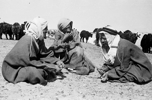 نسب قبيلة شمر الحقيقي وأصلها